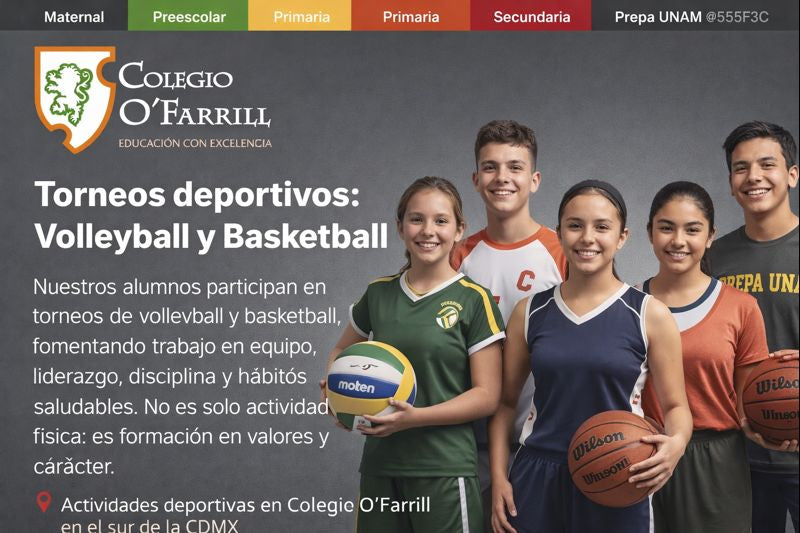 Torneos de deportes.