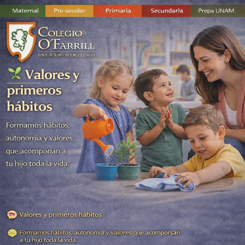 🌱 Valores y primeros hábitos